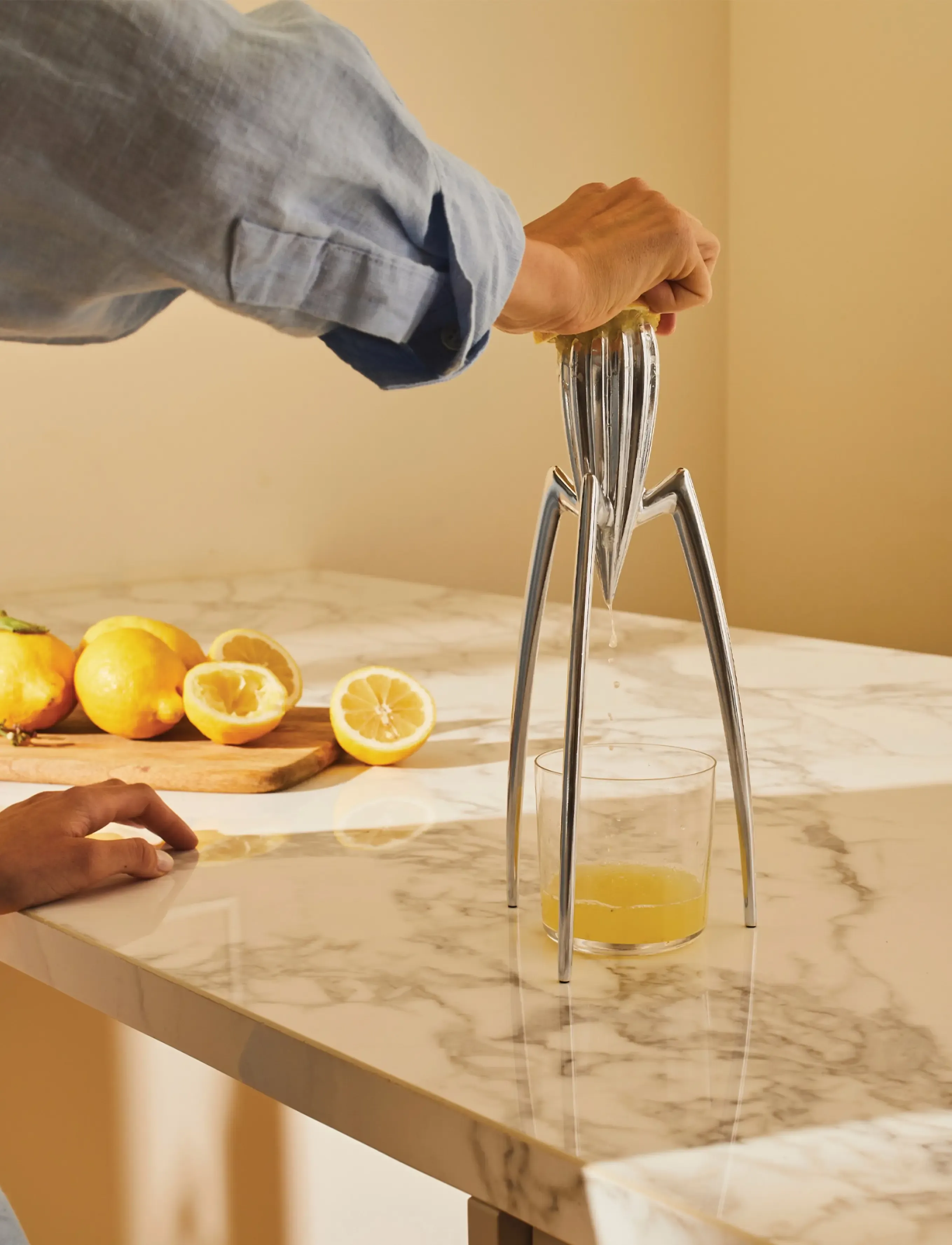 Alessi Citrus Basket In Aluminum Casting, Mirror-Polished, D14 cm, Presses, Silber - Homeware