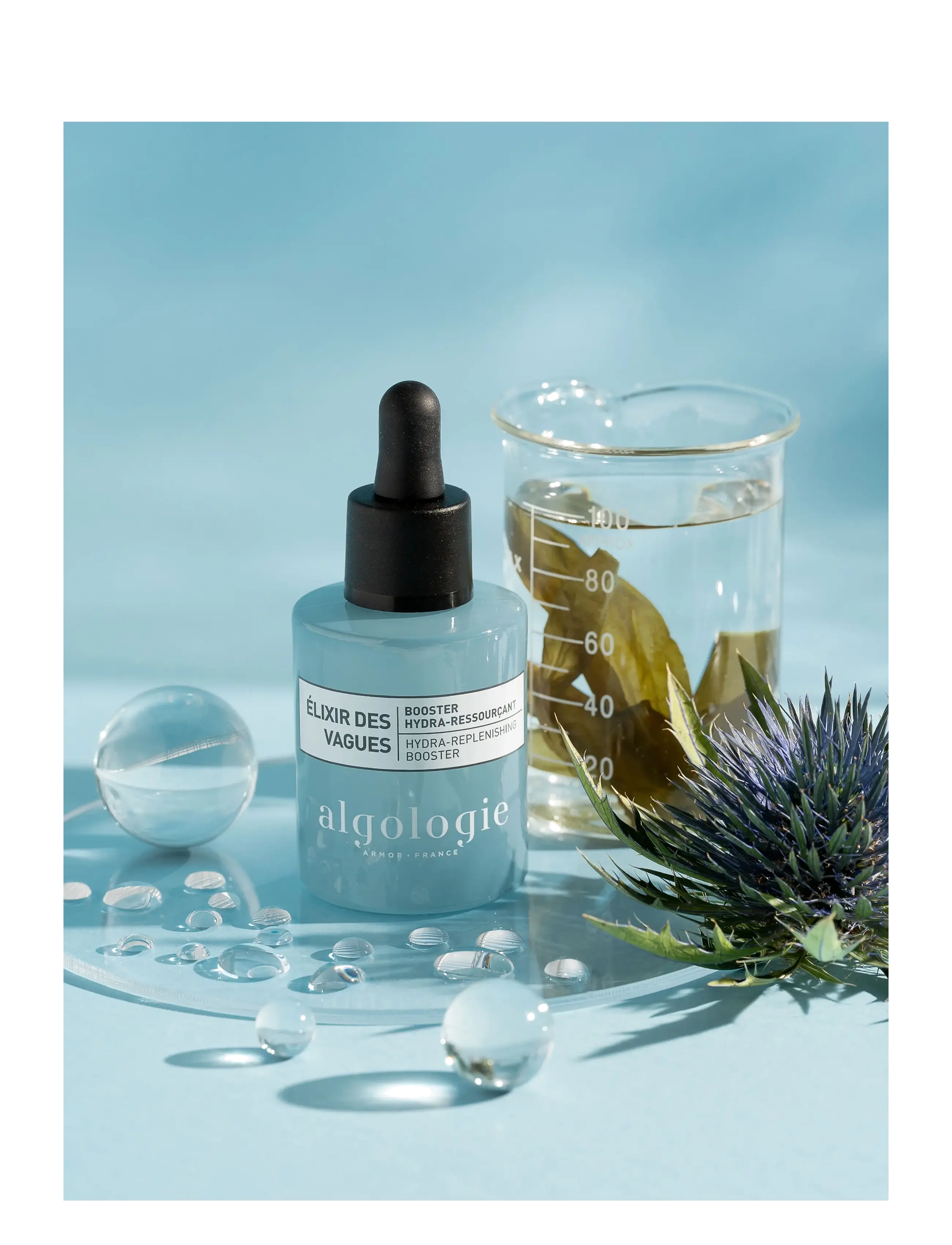 Algologie - Hydra-Replenishing Booster - serum - clear - 1