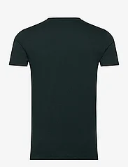 AllSaints - TONIC SS CREW - basic t-shirts - racing green - 1