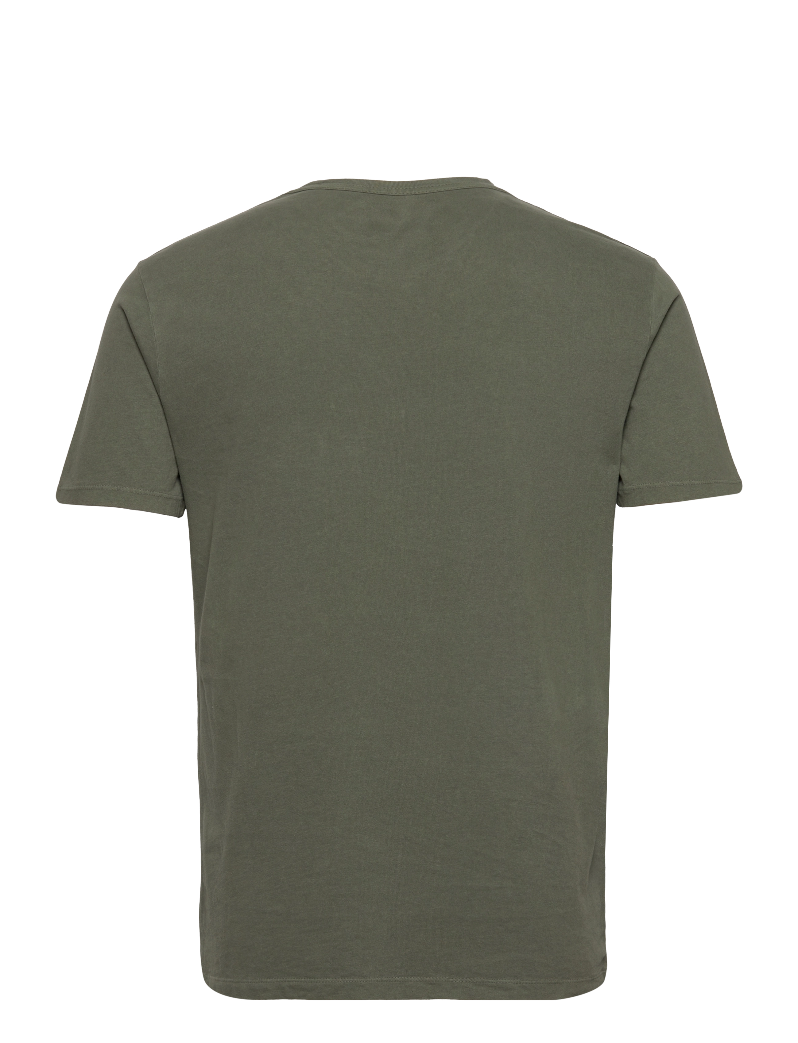AllSaints - OSSAGE SS CREW - nori green - 1