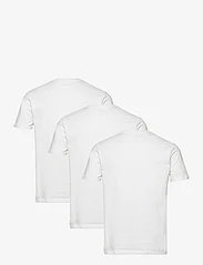 AllSaints - brace ss crew 3 pk - podstawowe koszulki - white - 5