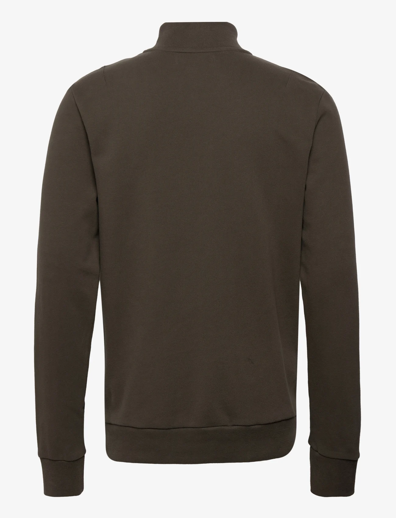 AllSaints - RAVEN HALF ZIP - sweatshirts - meadow brown - 1
