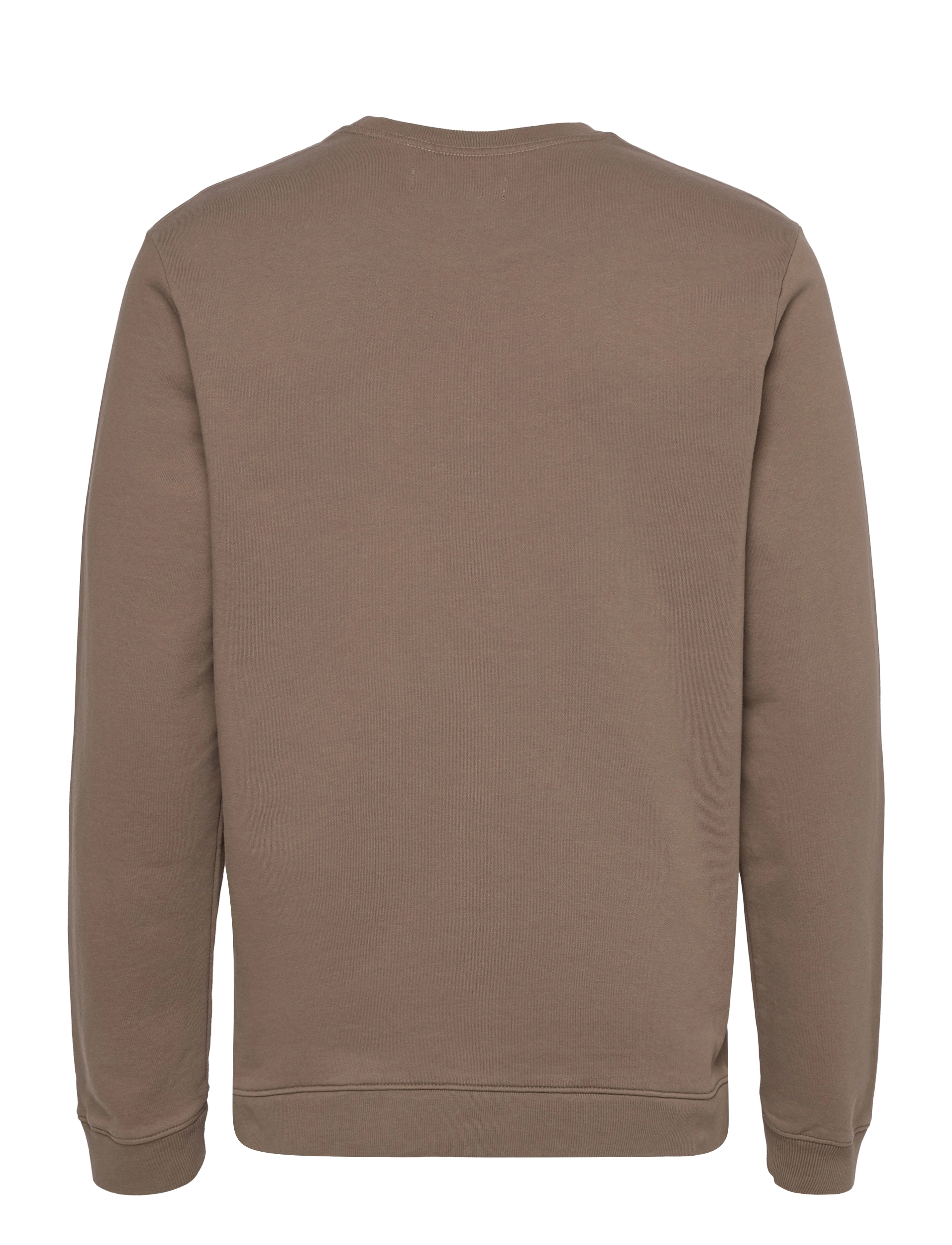 AllSaints - LOBKE CREW - teakwood brown - 1