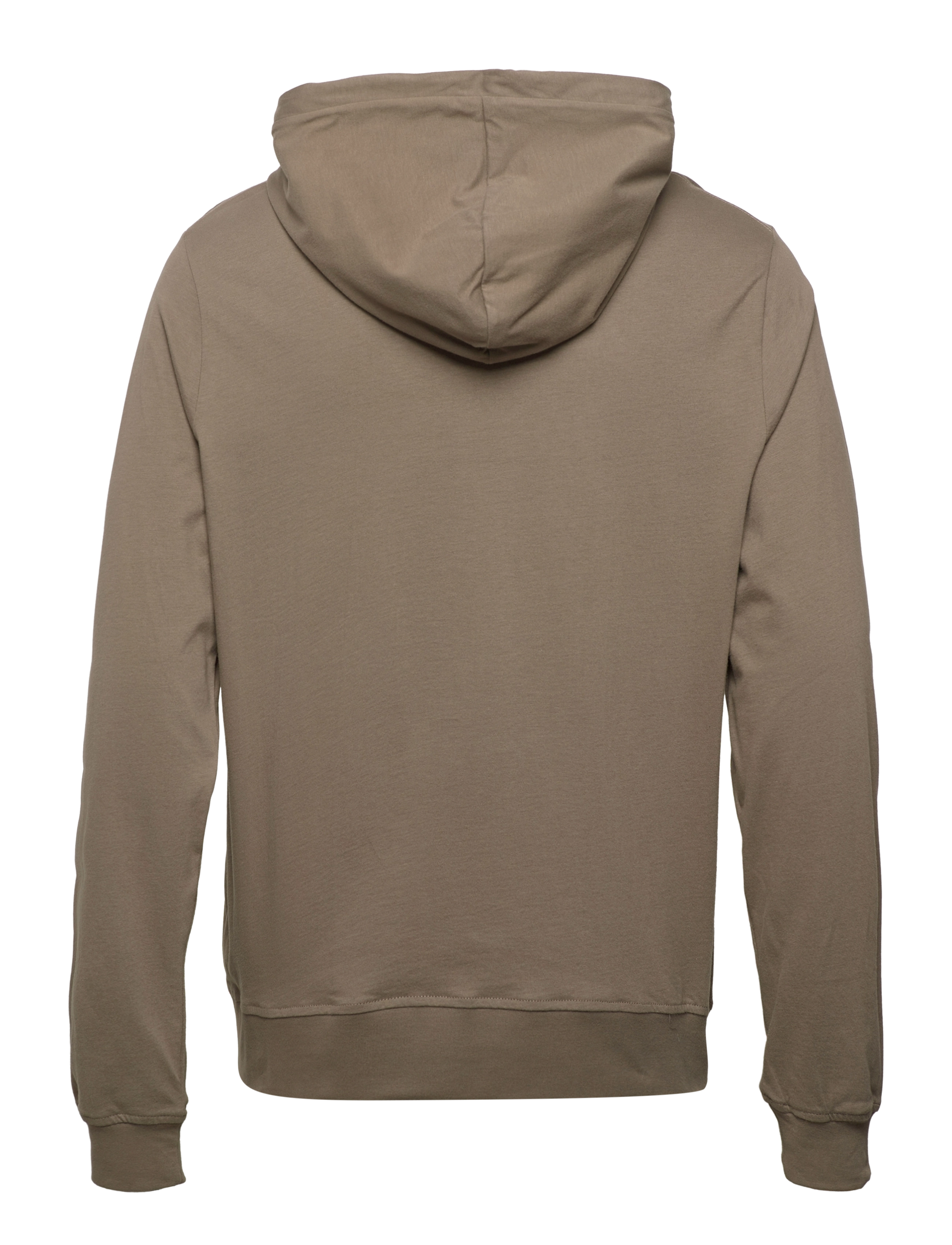 AllSaints - BRACE OTH HOODY - pelt brown - 2