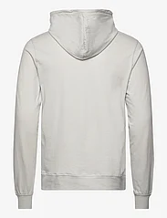 AllSaints - BRACE OTH HOODY - hoodies - cool grey - 1