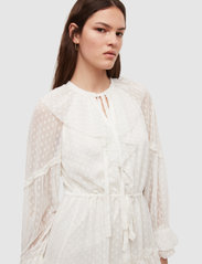 AllSaints - AVA DRESS - trumpos suknelės - ecru white - 3