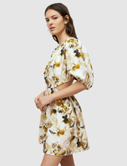AllSaints - COLETTE SOLEIL DRESS - korte kjoler - ochre yellow - 3