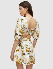 AllSaints - COLETTE SOLEIL DRESS - korte kjoler - ochre yellow - 4