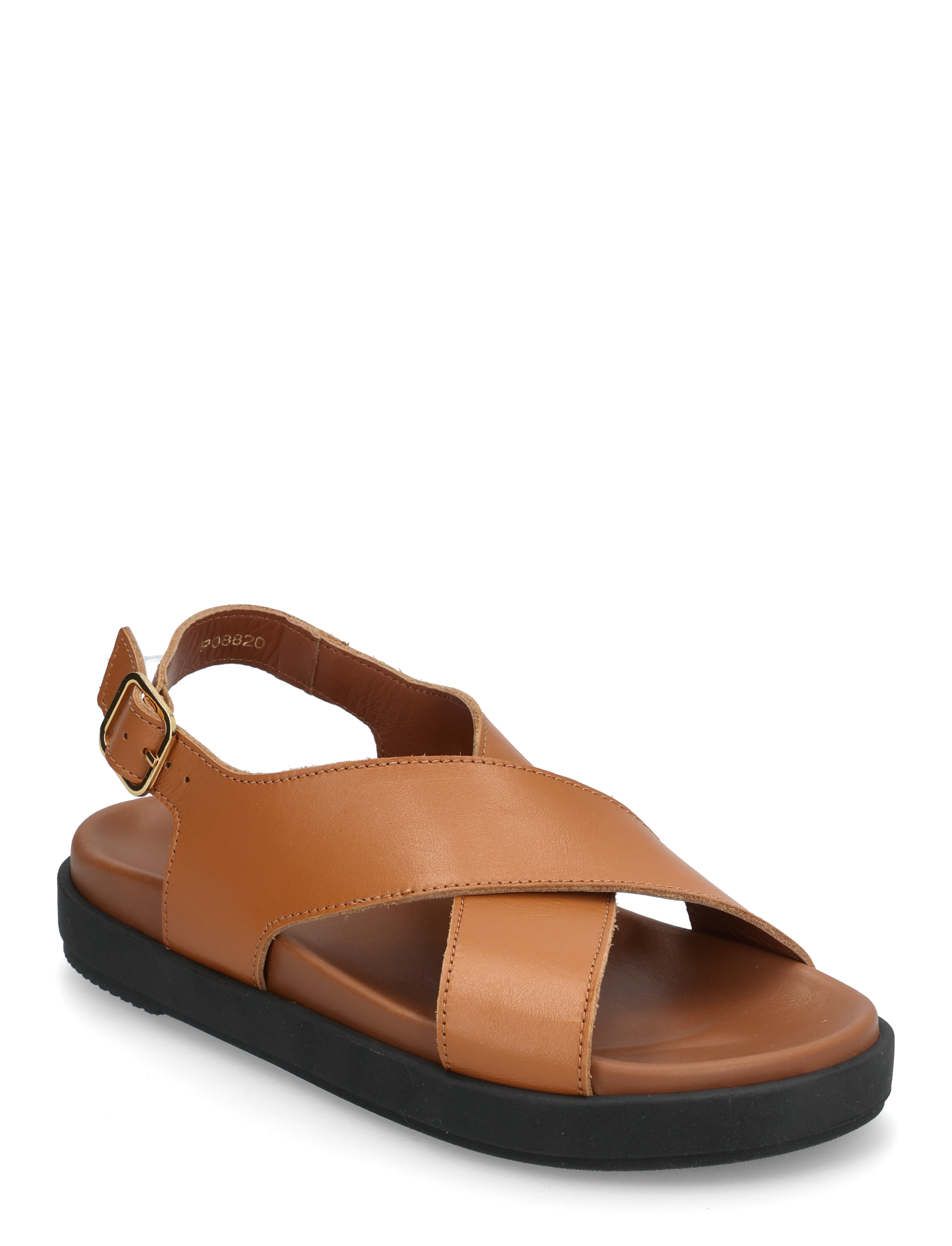 TAN