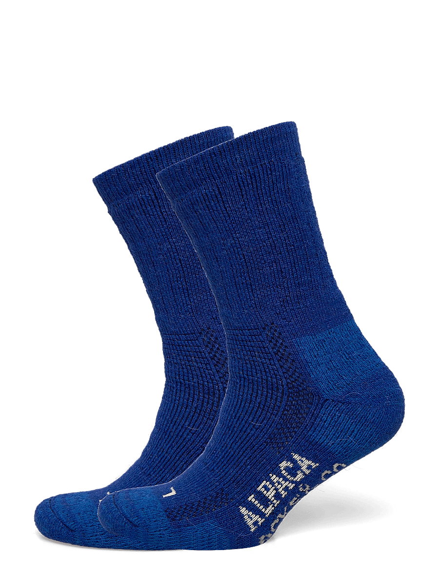 Alpacasocks&Co - Alpacasocks 2-pack - klasikinės kojinės - cobalto - 0