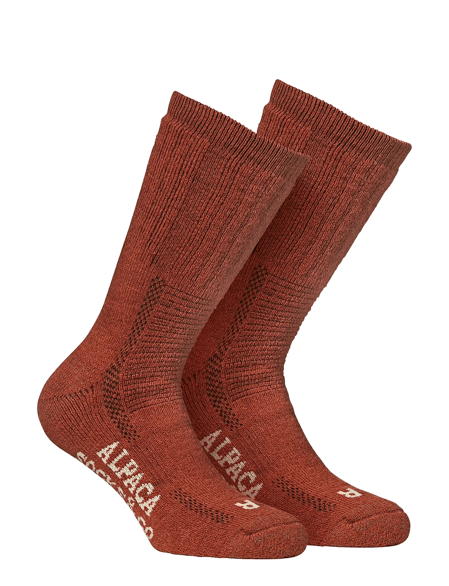 Alpacasocks&Co - Alpacasocks 2-pack - klasikinės kojinės - siderite - 0