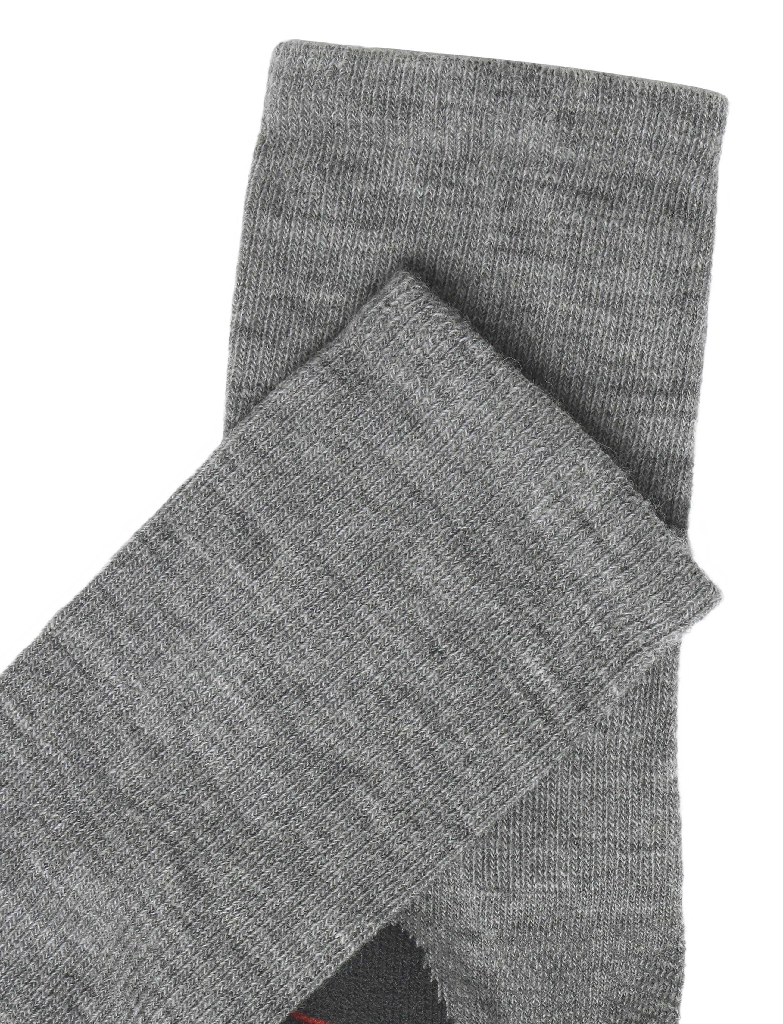 Alpacasocks&Co - Merino Tech Hiking Crew 1-pack - spordisokid - argento - 2