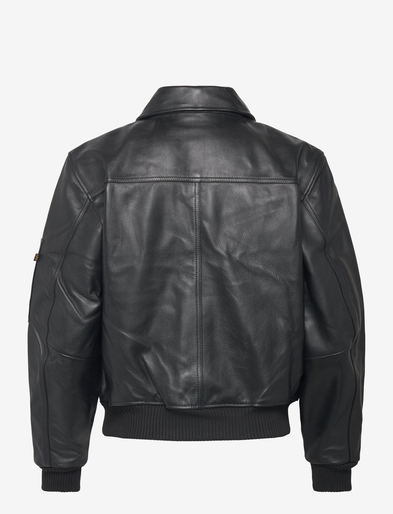 Alpha Industries - CWU Leather Heritage - höstjackor - black - 1