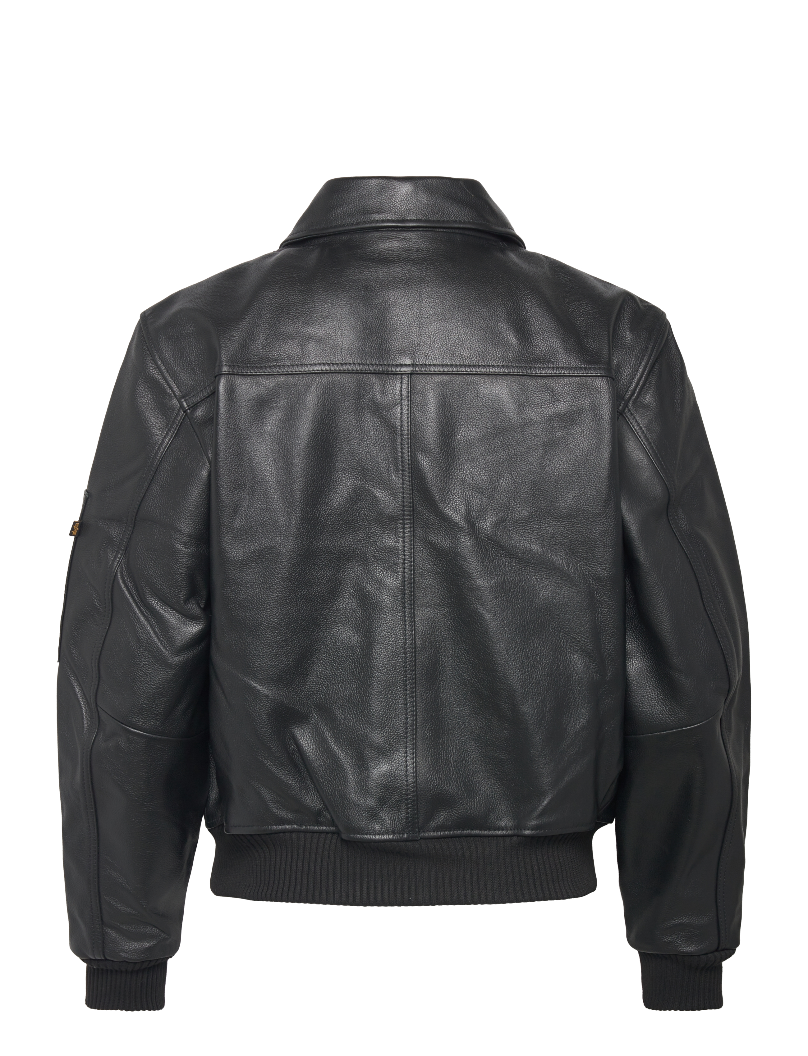 Alpha Industries - CWU-45/P Leather Vintage - black - 2