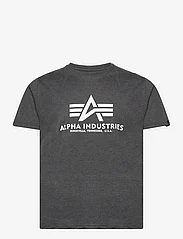 Alpha Industries - Basic T-Shirt - lyhythihaiset - charcoal heather/white - 0
