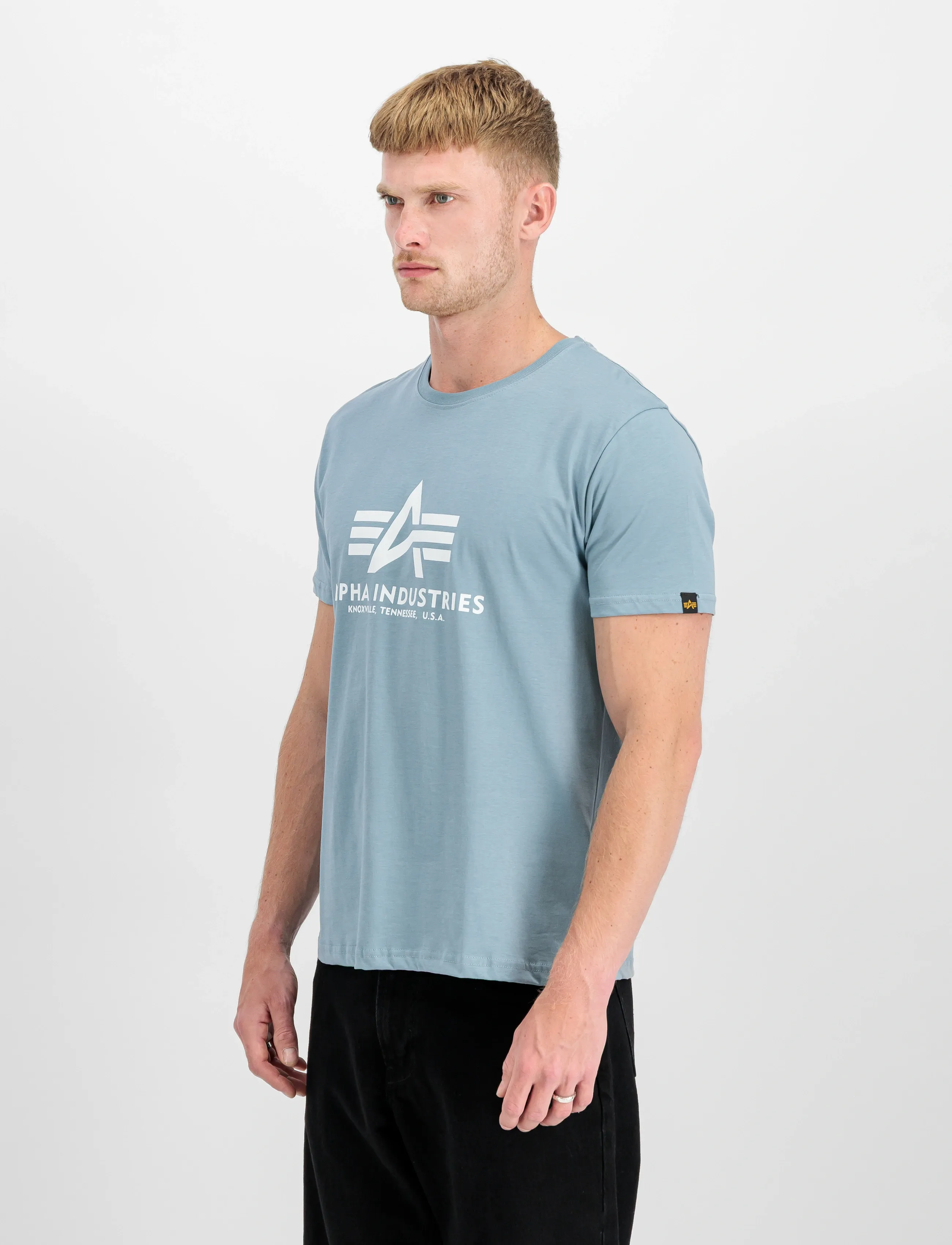 Alpha Industries Basic T-Shirt BL - Tøj - GREYBLUE / blue
