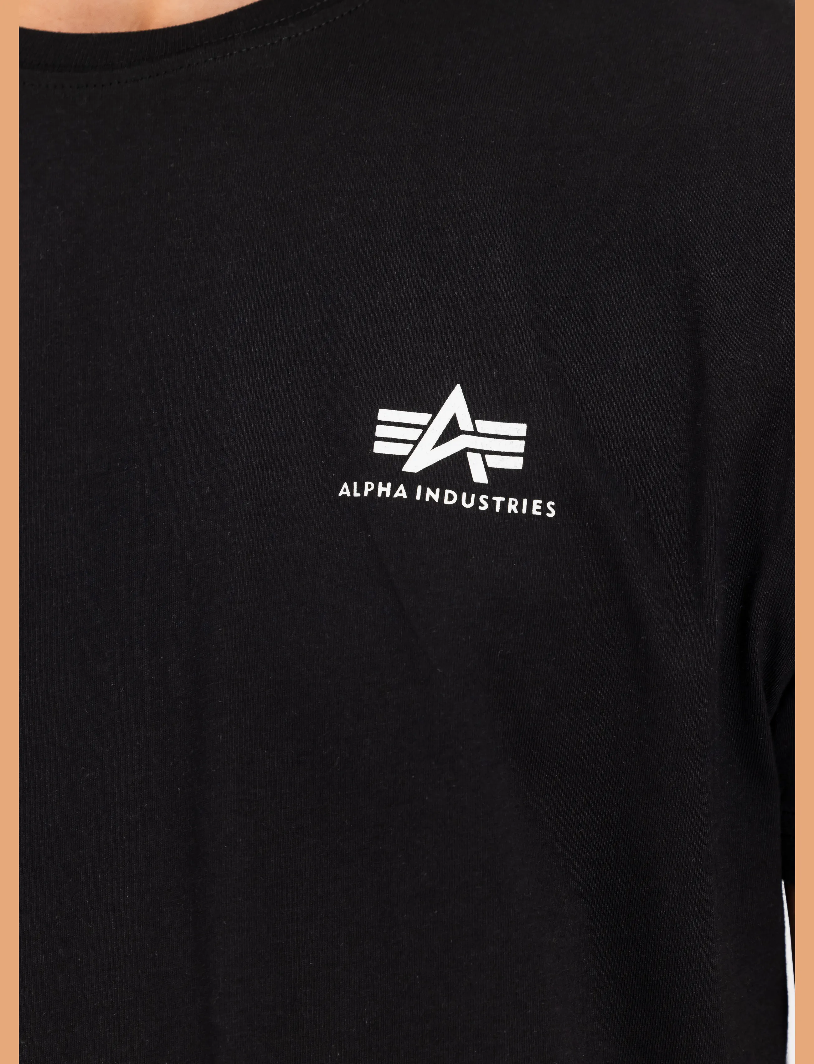 Alpha Industries - Backprint T-Shirt - black - 4