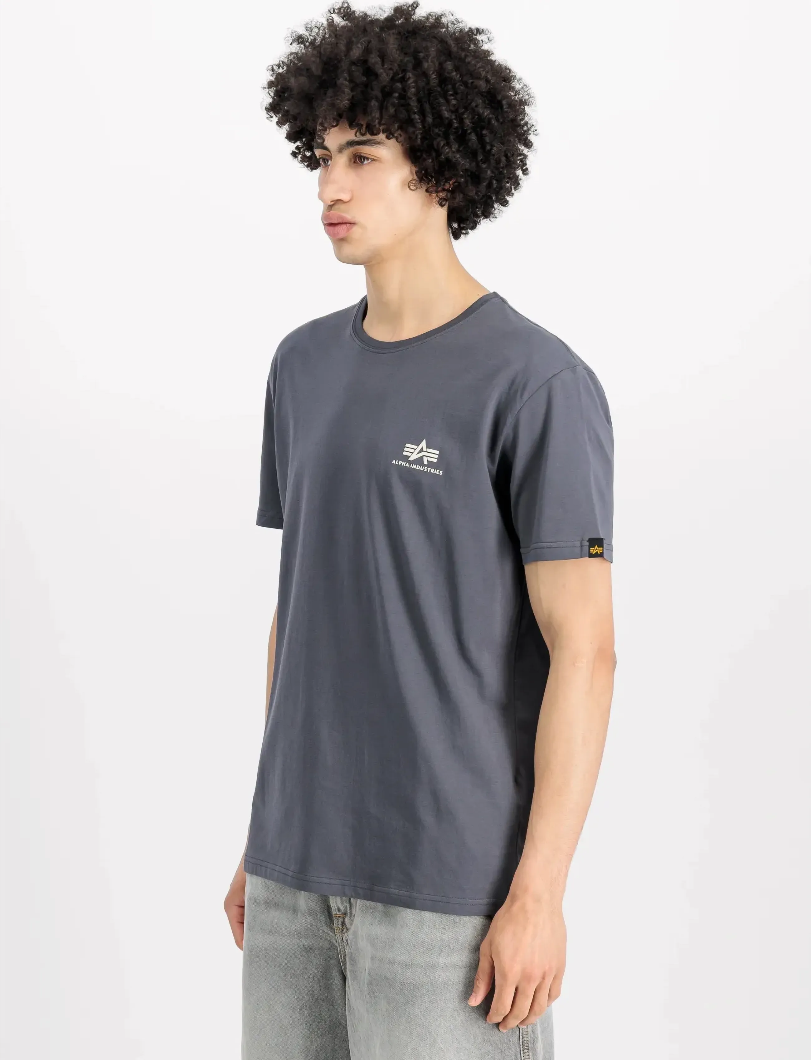 Alpha Industries Basic T-Shirt Sl, S, T-shirts, Grau - Short-sleeved, Männerswear
