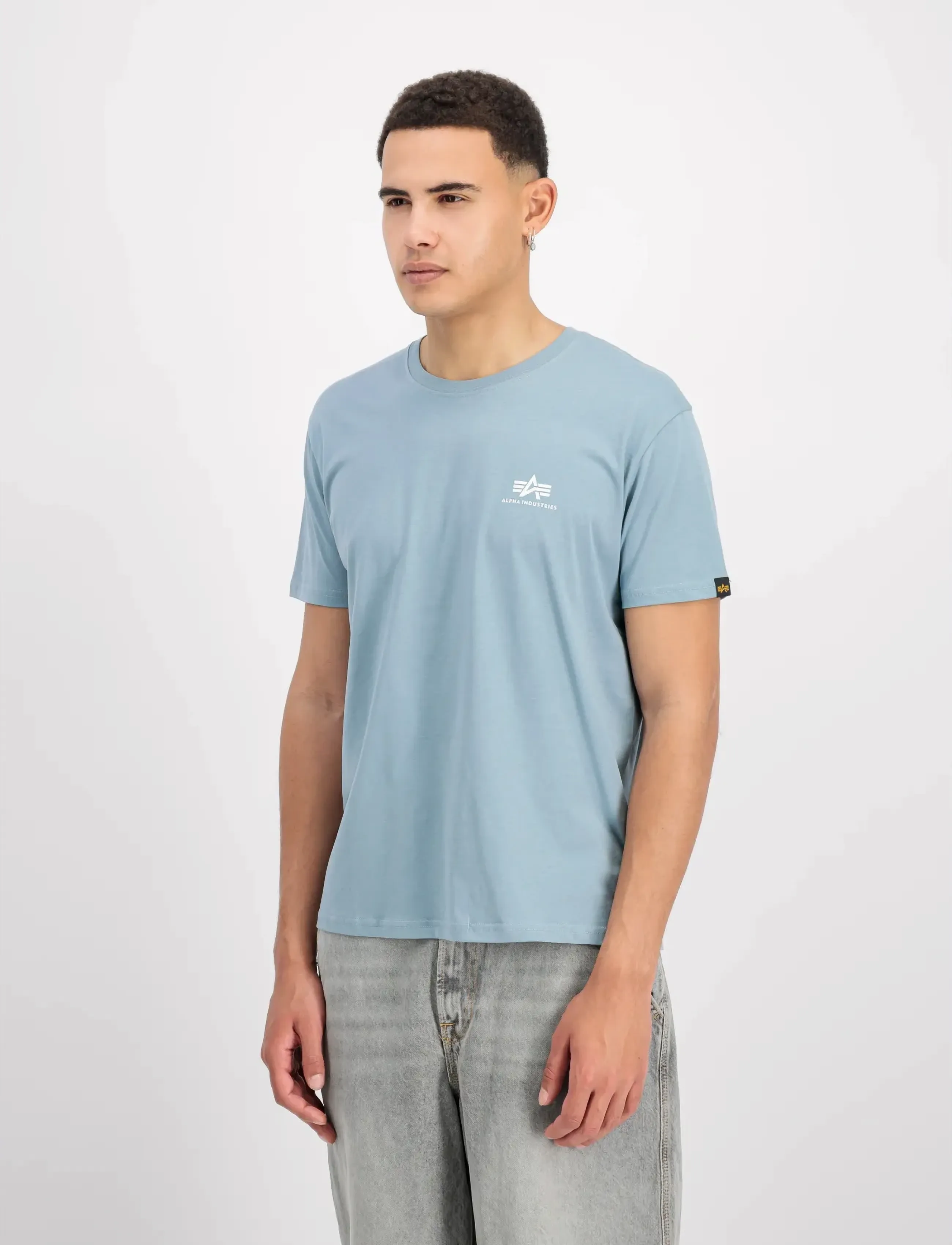 Alpha Industries Basic T-Shirt SL - Marškinėliai - GREYBLUE / blue