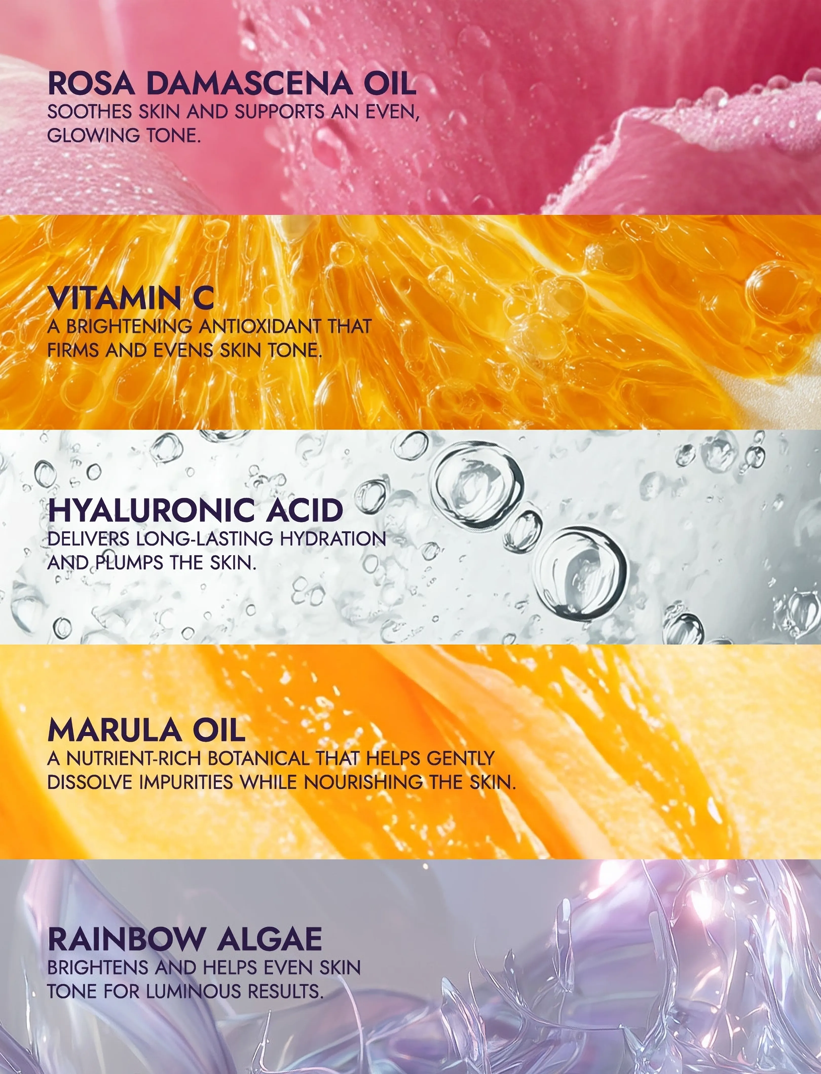 Alteya Organics - Organic Balancing Cleanser – Rose Oil + Vitamin C - foaming cleanser - milky - 5