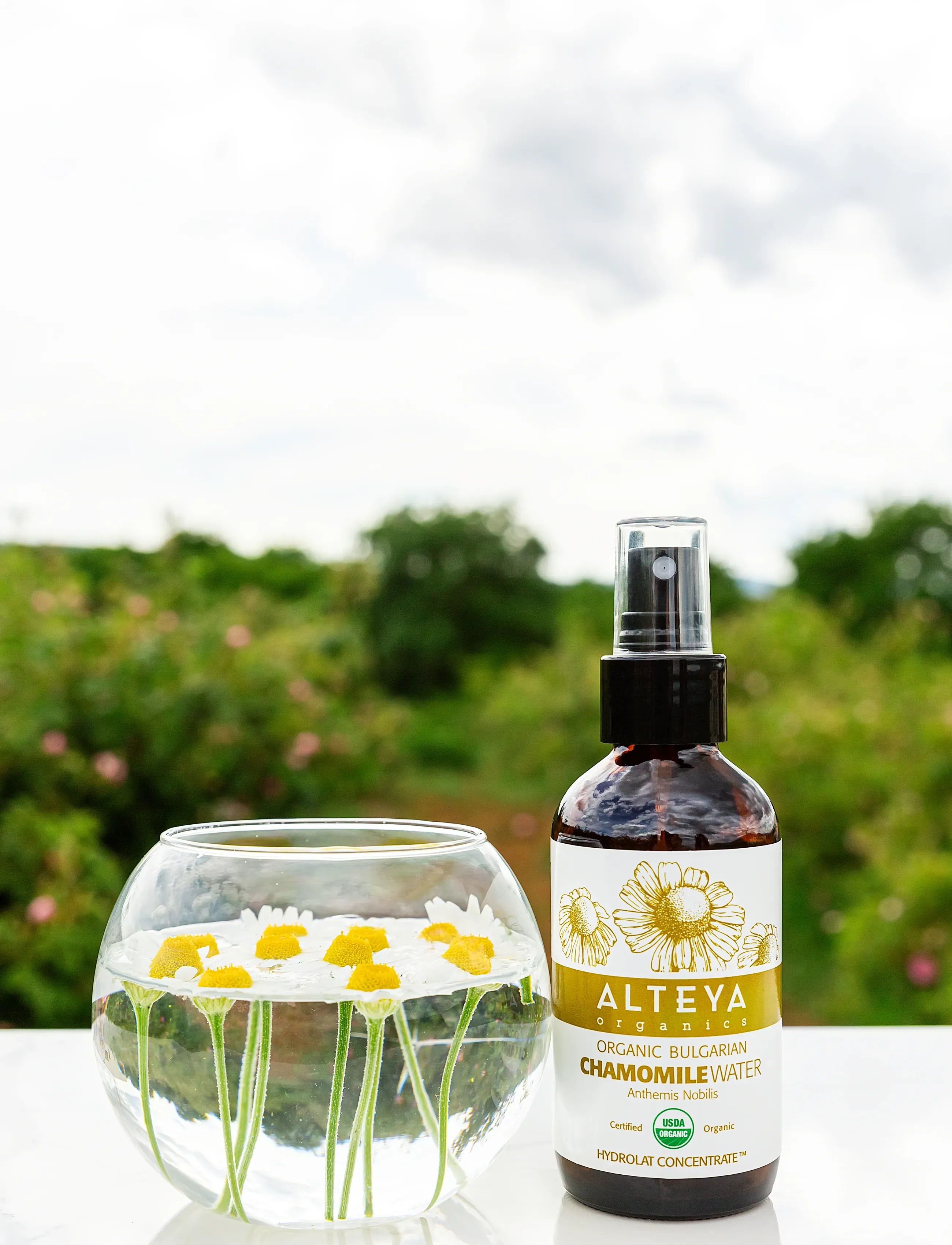 Alteya Organics - Organic Bulgarian Chamomile Water - clear - 3
