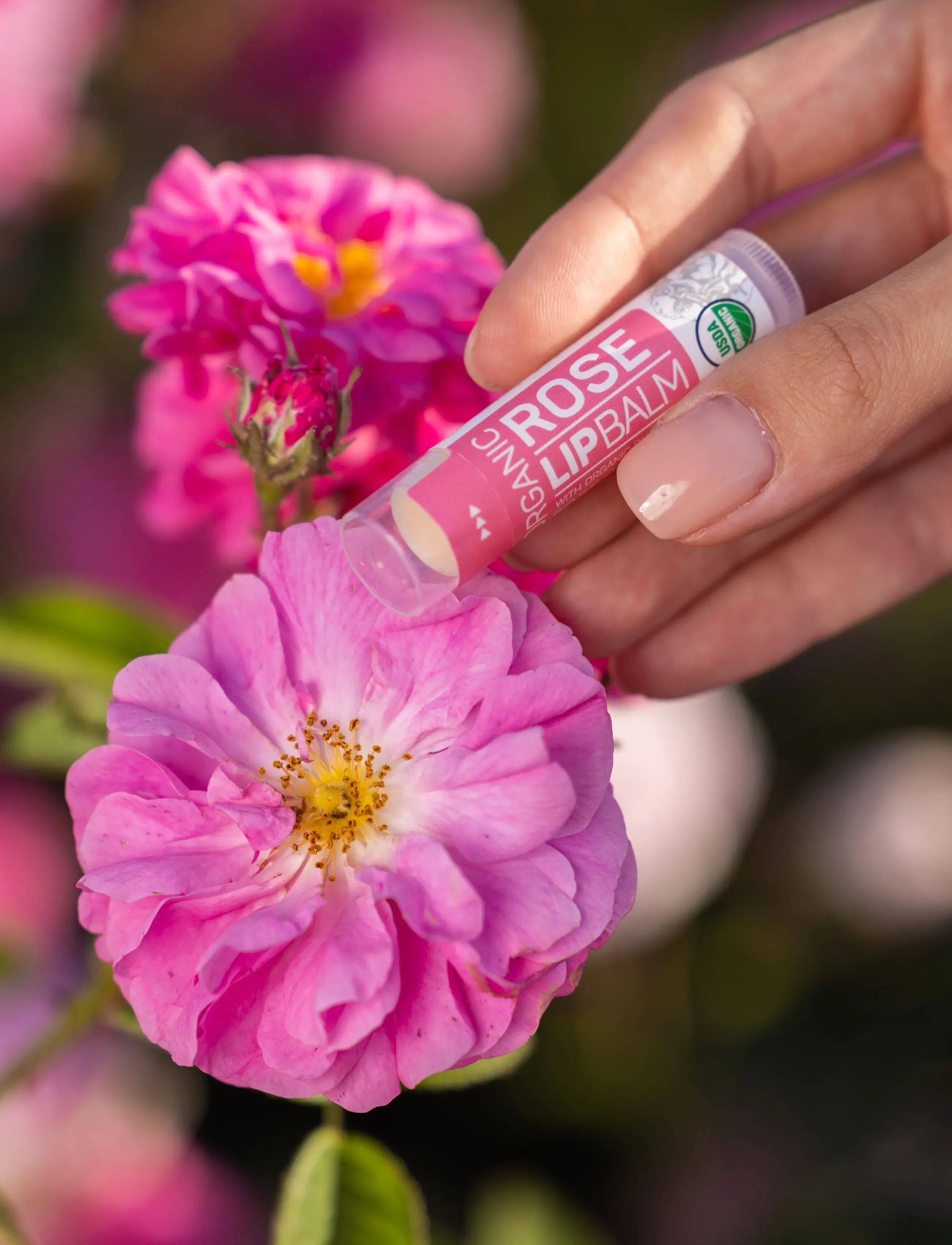 Alteya Organics - Organic Lip Balm – Rose - natural off-white balm - 4