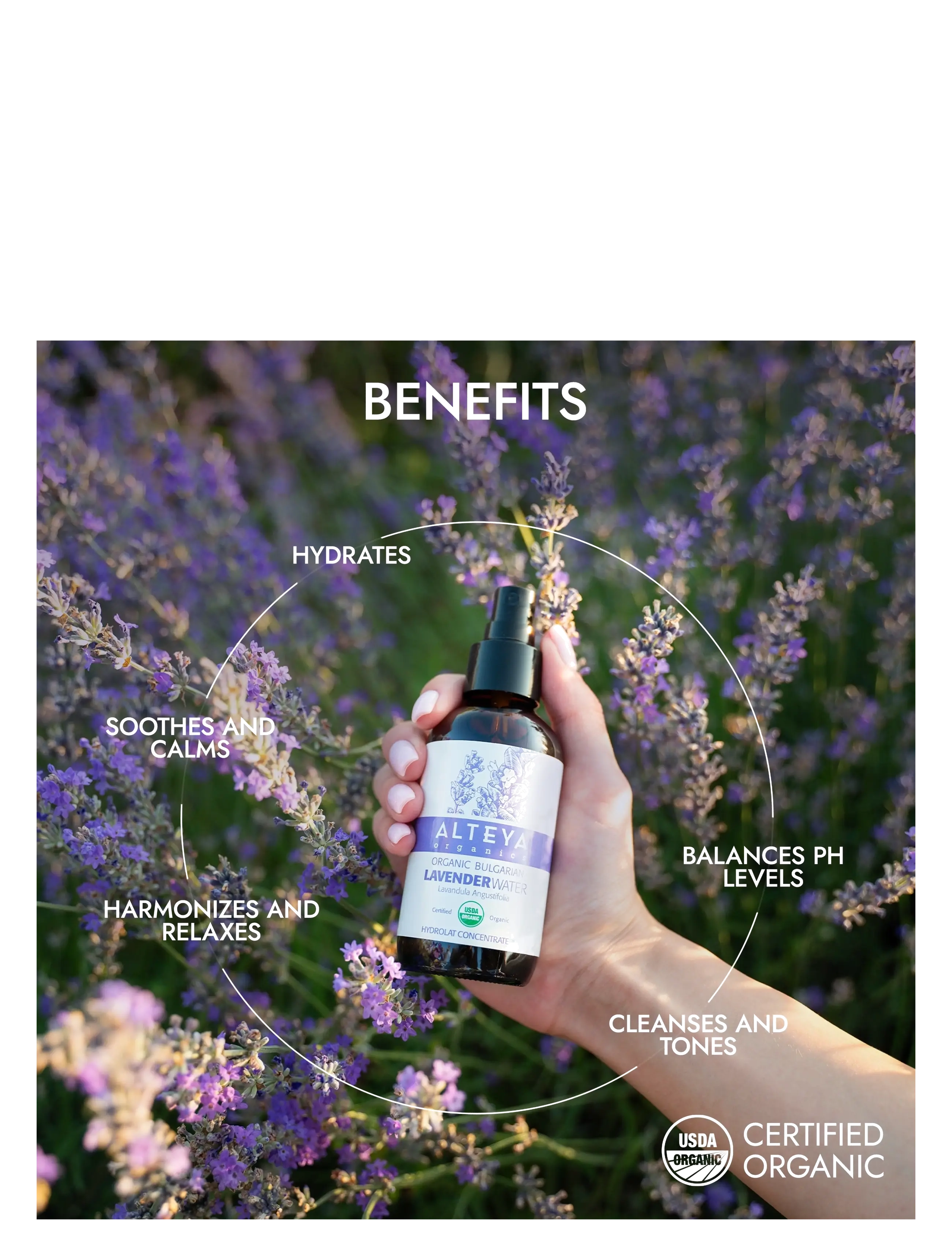 Alteya Organics - Organic Bulgarian Lavender Water - ansiktsmist - clear - 2