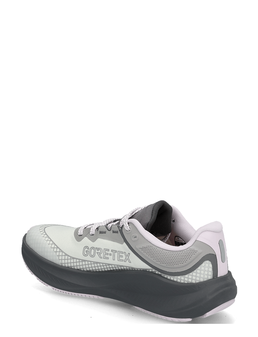 Altra - W TORIN 9 GTX - laufschuhe - vapros gry/slvr/orchd ice - 1