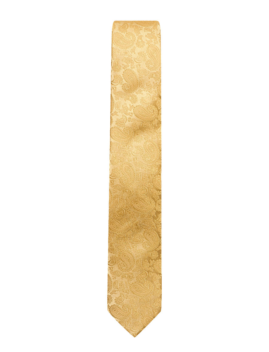 Amanda Christensen - Slim Tie - krawatten - gold - 0