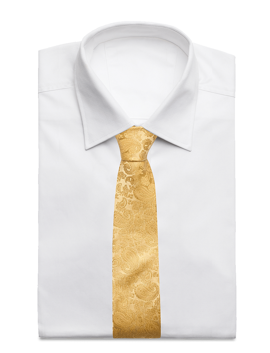 Amanda Christensen - Slim Tie - krawatten - gold - 1