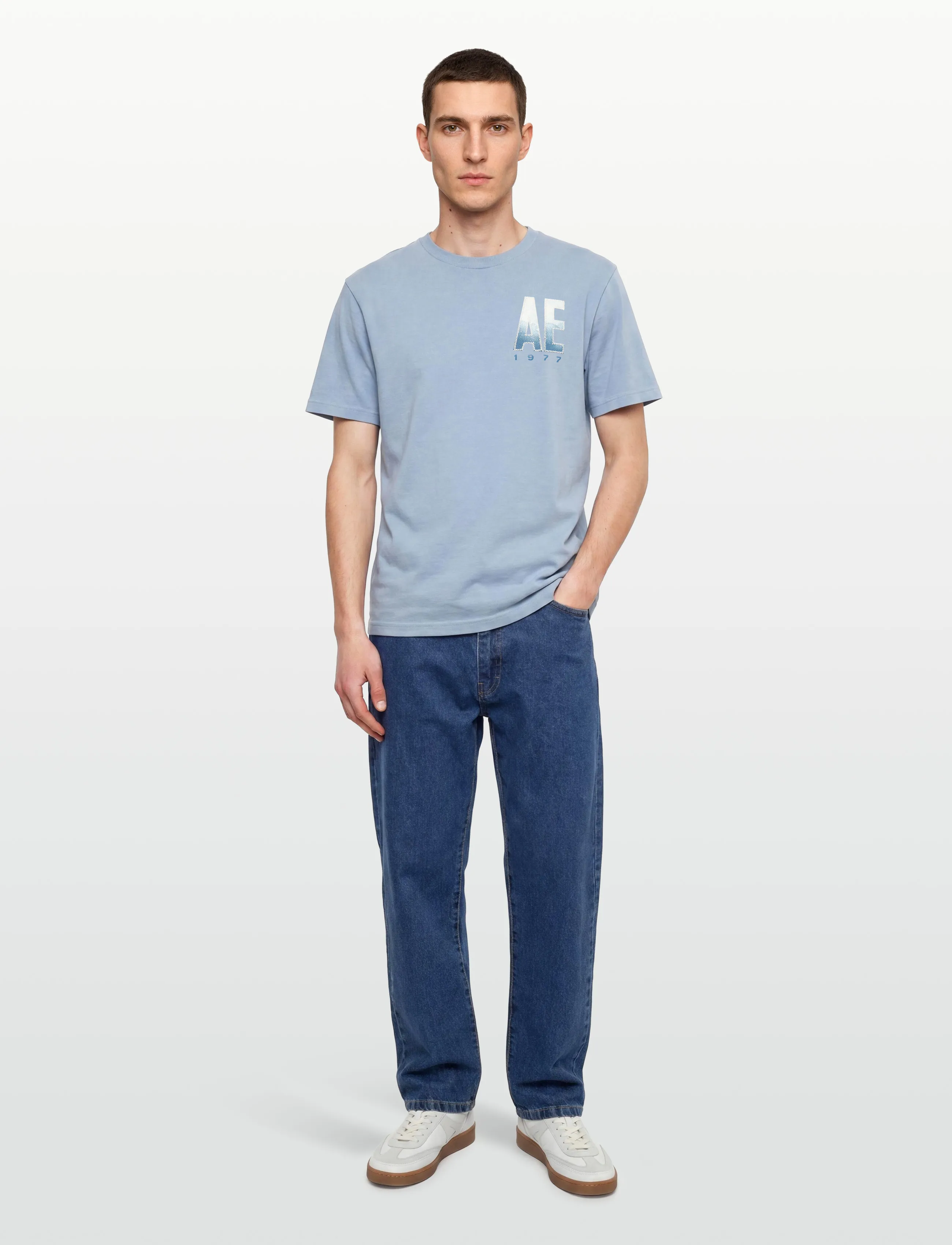 American Eagle G SS INTL ELEVATED SET IN TEE- CVC FAUX HTHR + SERIOUSLY SOFT WASH - Nyheter - ICE BLUE / blue