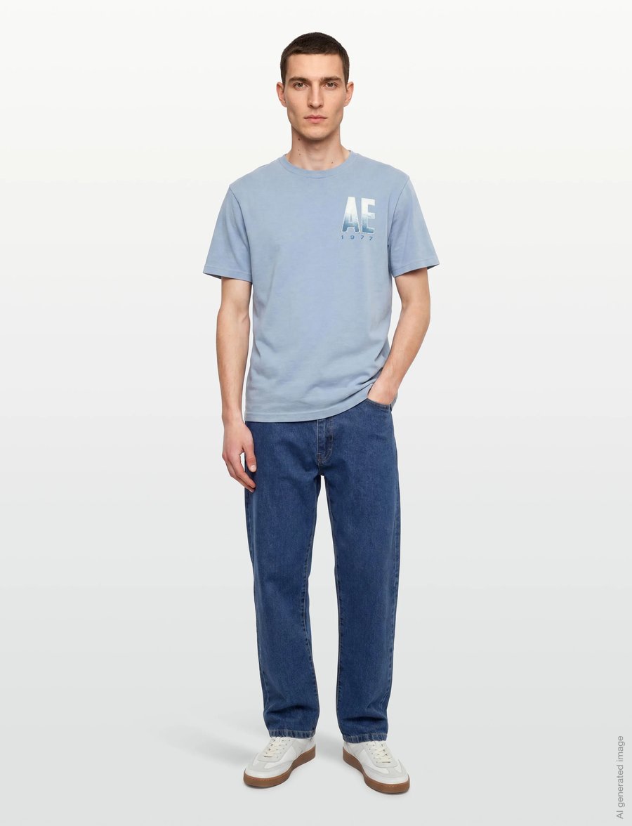 American Eagle - G SS INTL ELEVATED SET IN TEE- CVC FAUX HTHR + SERIOUSLY SOFT WASH - kurzärmelige t-shirts - ice blue - 0