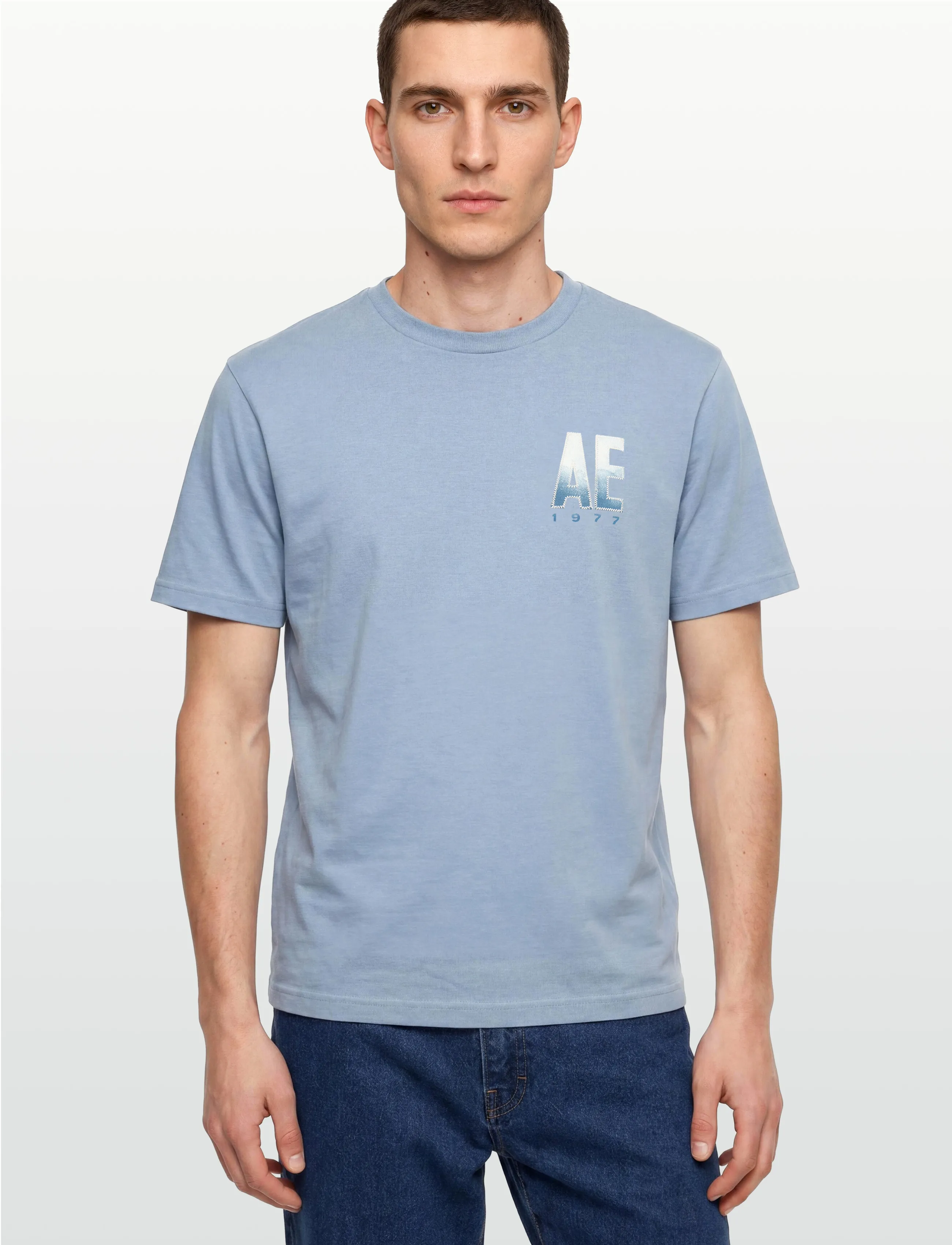 American Eagle - G SS INTL ELEVATED SET IN TEE- CVC FAUX HTHR + SERIOUSLY SOFT WASH - kortärmade t-shirts - ice blue - 3
