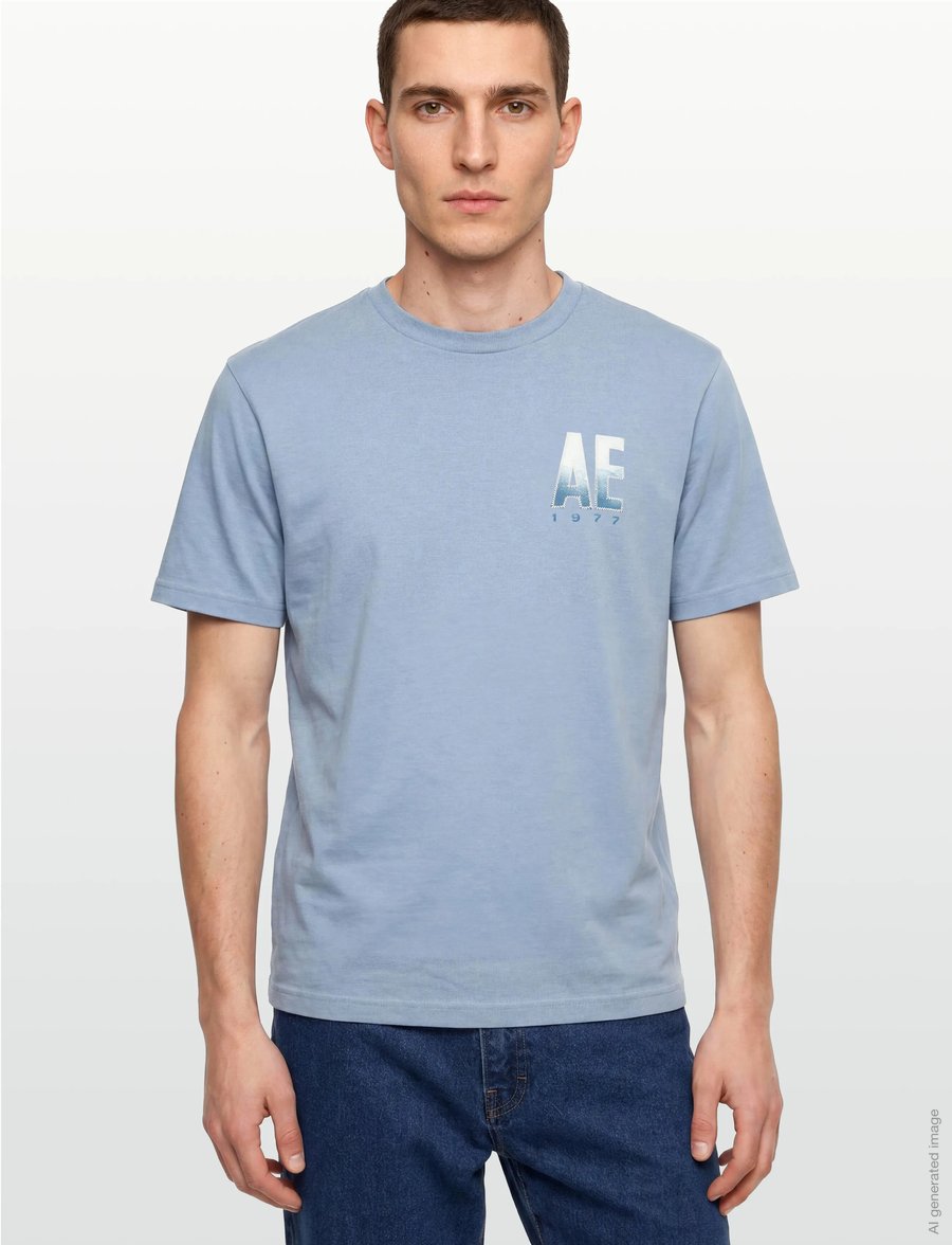 American Eagle - G SS INTL ELEVATED SET IN TEE- CVC FAUX HTHR + SERIOUSLY SOFT WASH - kurzärmelige t-shirts - ice blue - 3