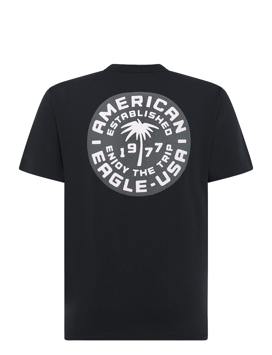 American Eagle - G SS 1 SET IN TEE- PC DYE + SERIOUSLY SOFT WASH - kurzärmelige t-shirts - black - 2