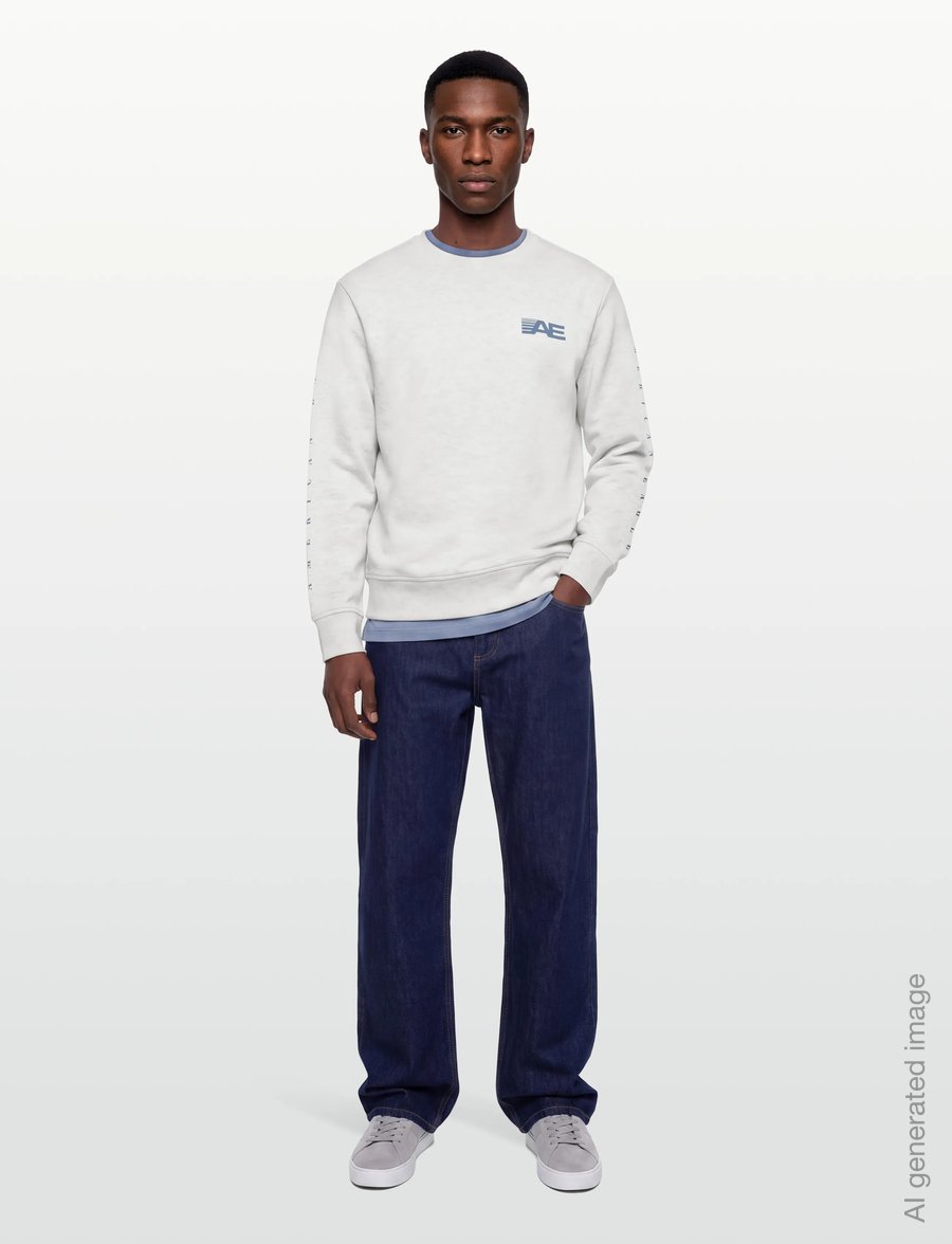American Eagle - 2264 INTL HEATHER MANCHEGO CREW - sweatshirts - heather frost - 0