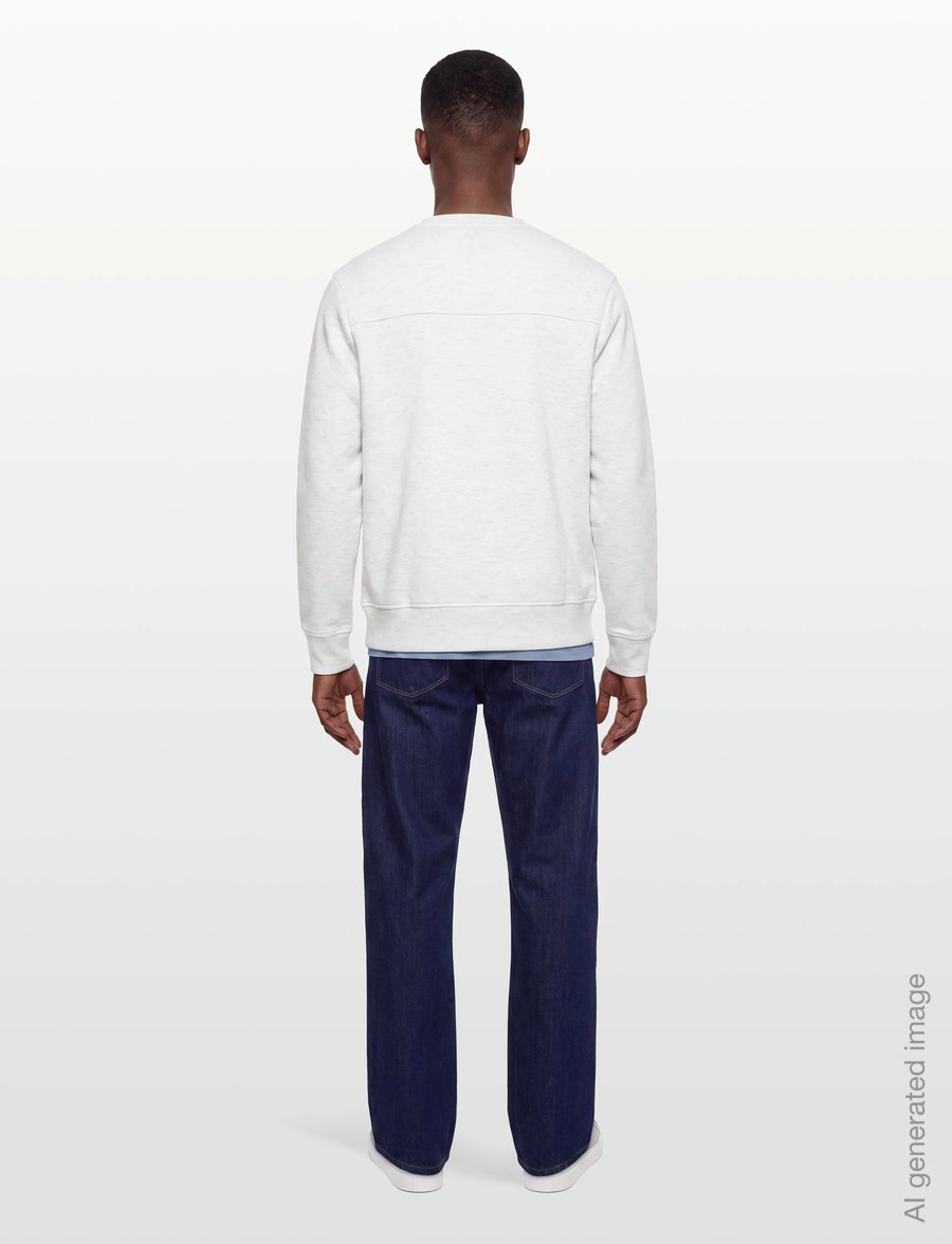 American Eagle - 2264 INTL HEATHER MANCHEGO CREW - sweatshirts - heather frost - 4