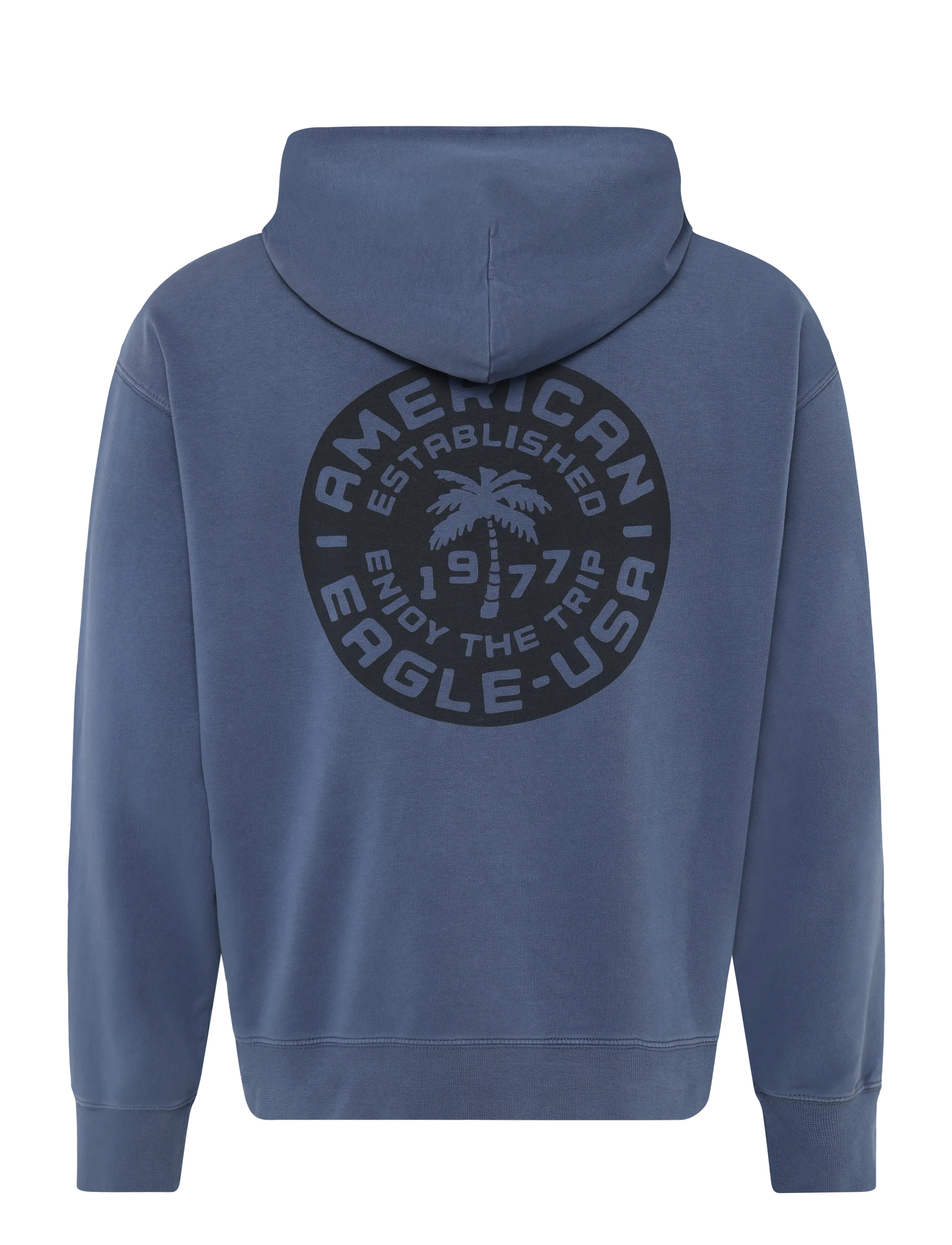 American Eagle - 2270 FRENCH TERRY GD GRAPHIC HOOD - tidal blue - 1