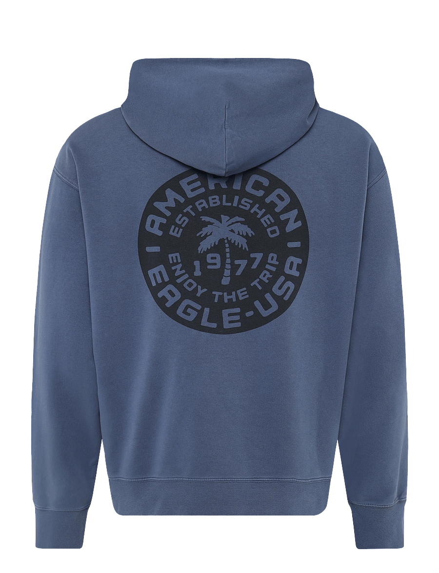 American Eagle - 2270 FRENCH TERRY GD GRAPHIC HOOD - hættetrøjer - tidal blue - 1