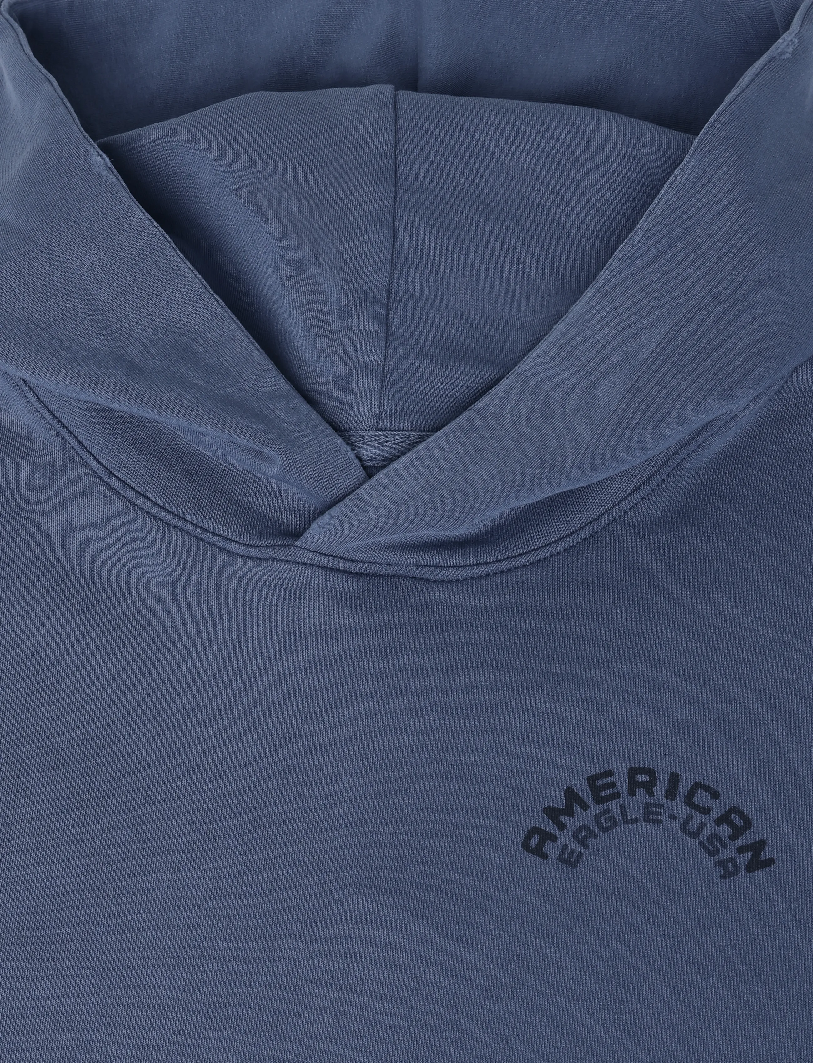 American Eagle - 2270 FRENCH TERRY GD GRAPHIC HOOD - tidal blue - 2