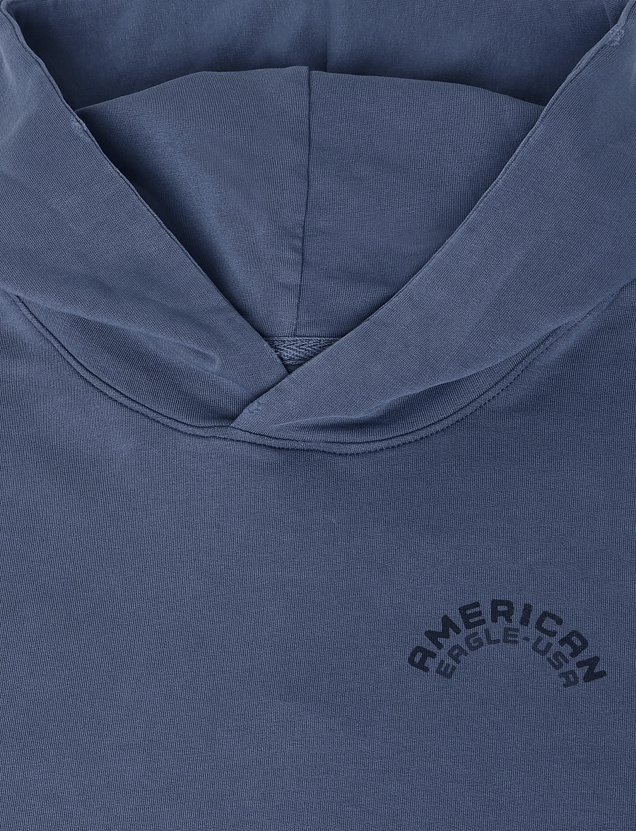 American Eagle - 2270 FRENCH TERRY GD GRAPHIC HOOD - hættetrøjer - tidal blue - 2