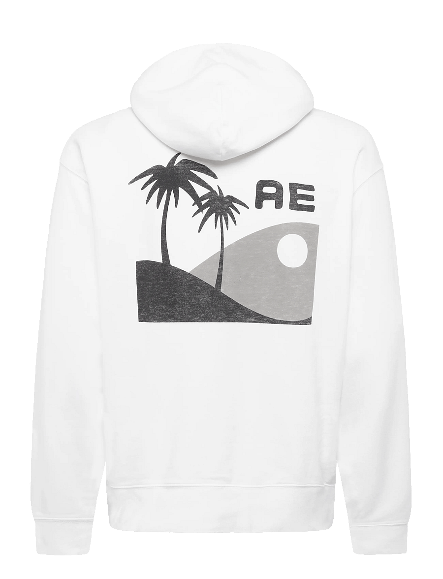 American Eagle - 2271 FRENCH TERRY PD GRAPHIC HOOD - kapuzenpullover - white - 2