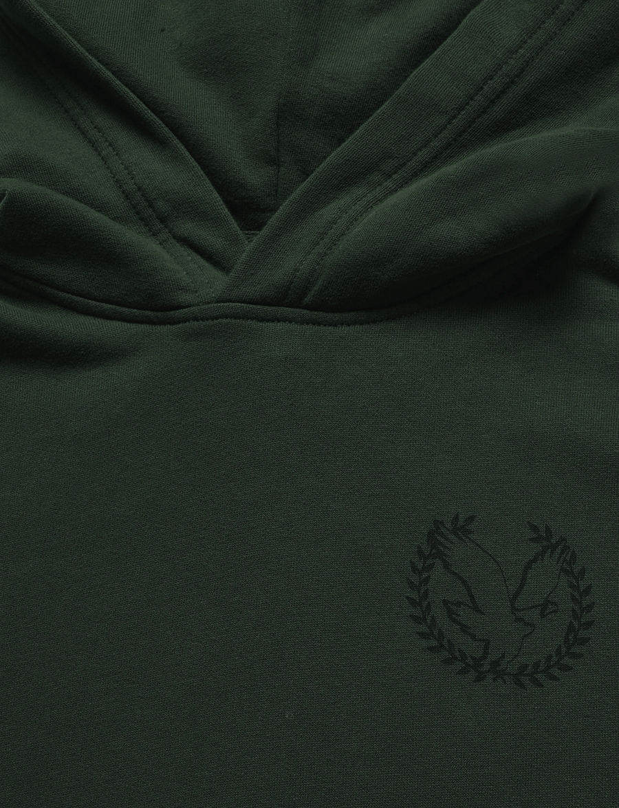 American Eagle - 2426 PD HERITAGE GRAPHIC HOODIE - kapuzenpullover - camo green - 2