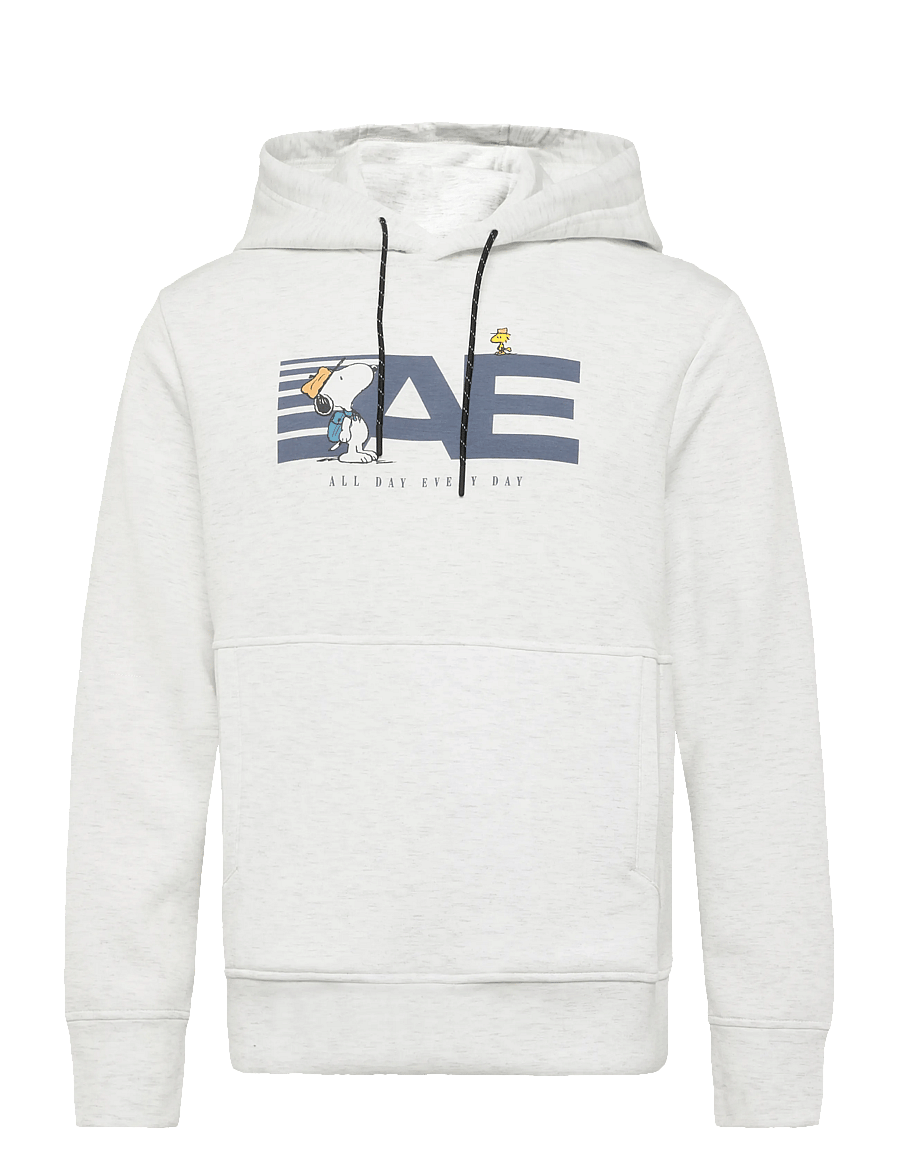 American Eagle - 2203 MANCHEGO ACTIVE HTHR POPOVER HOODIE - kapuzenpullover - cream - 0