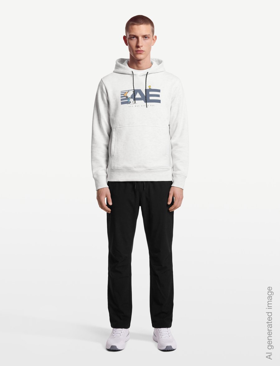 American Eagle - 2203 MANCHEGO ACTIVE HTHR POPOVER HOODIE - kapuzenpullover - cream - 0