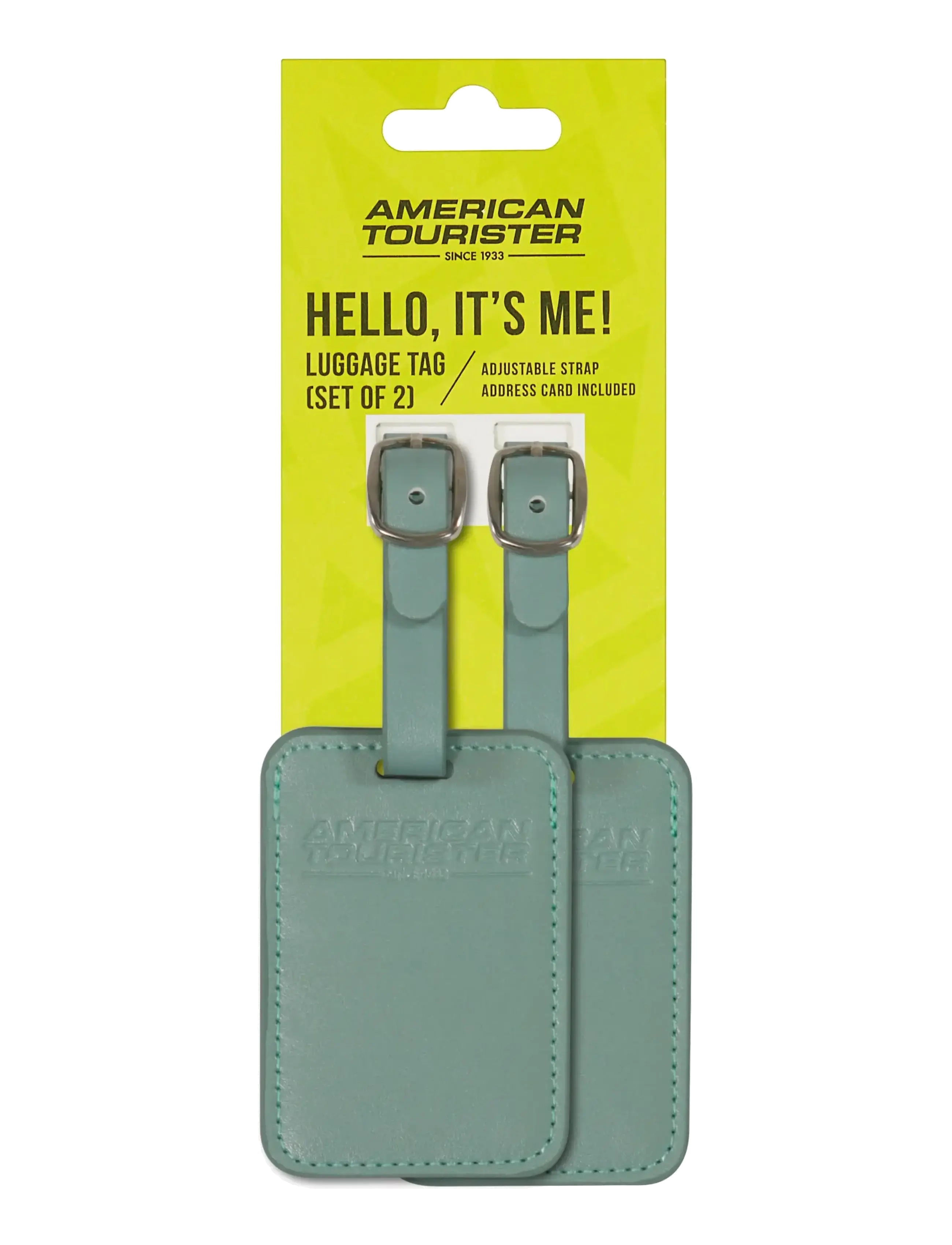 American Tourister TA LUGGAGE TAG X2 - American Tourister - ICEBERG GREEN / green