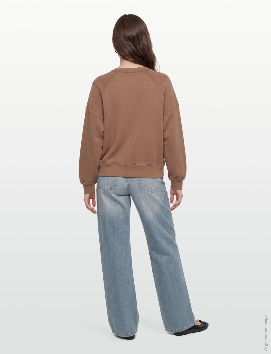 American Vintage - ATUBAY - sweatshirts - chocolat - 4