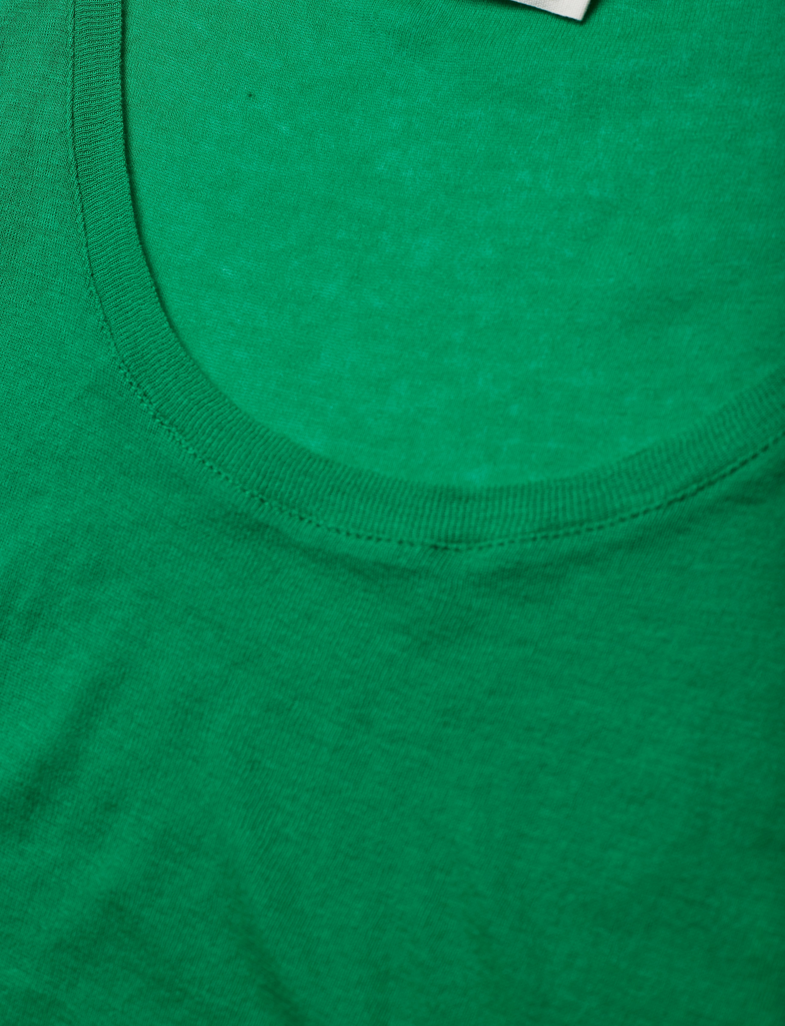 American Vintage - MASSACHUSETTS - hihattomat paidat - frog - 2