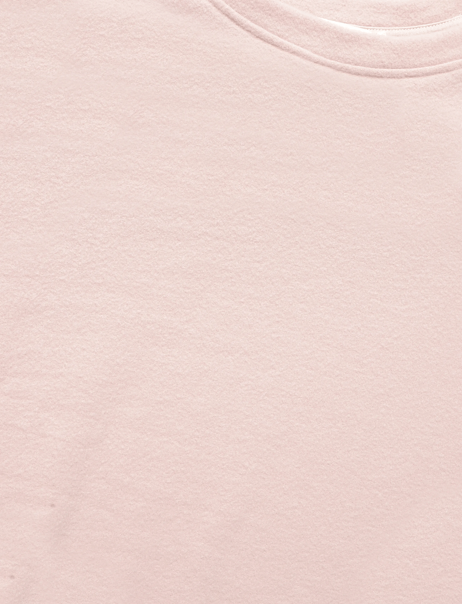 American Vintage - PUGGY - sweatshirts - biscotti - 2
