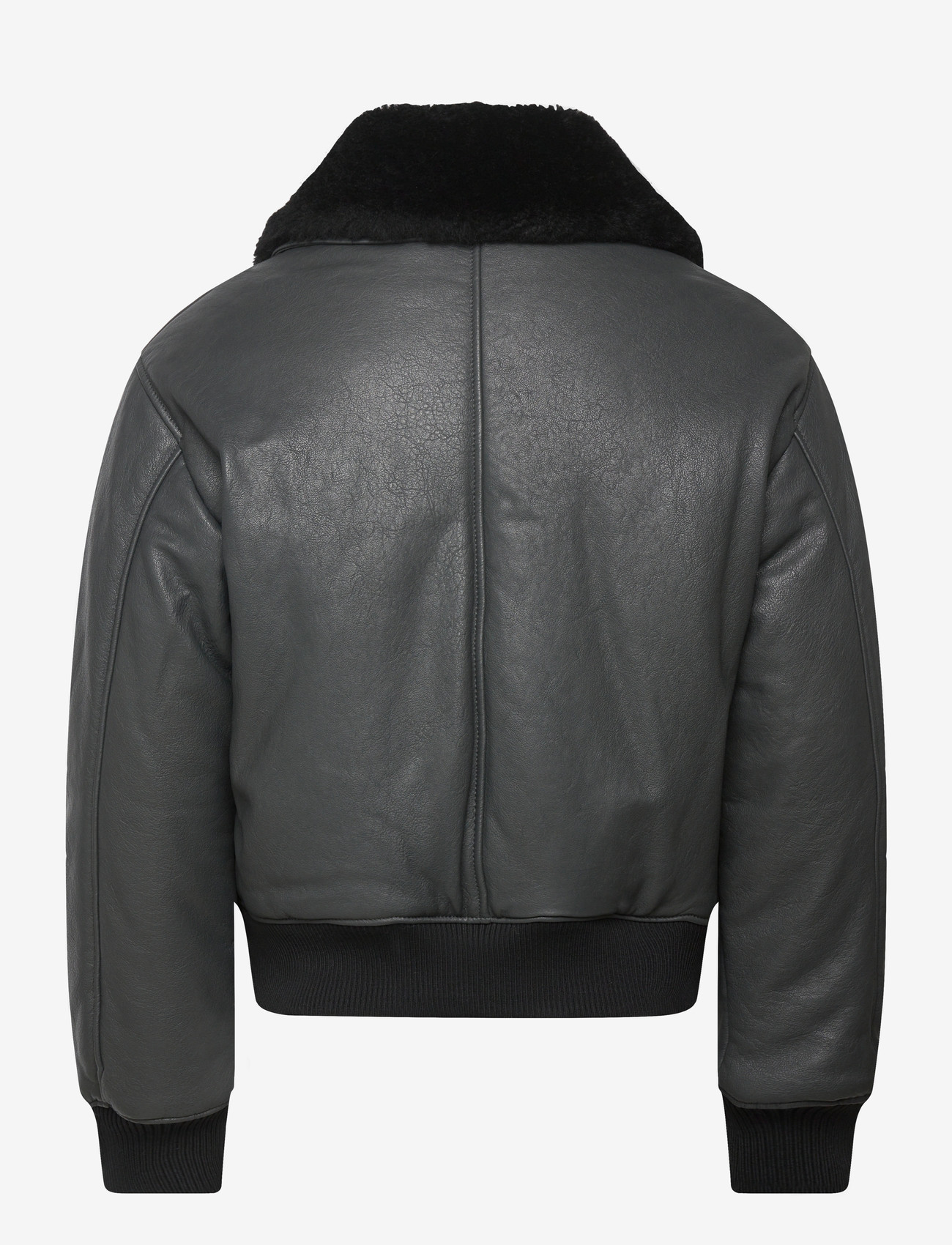 AMI - LEATHER ZIPPED JACKET - vårjackor - 020 : anthracite - 1